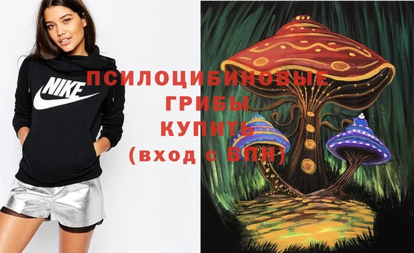 ешки Алексеевка