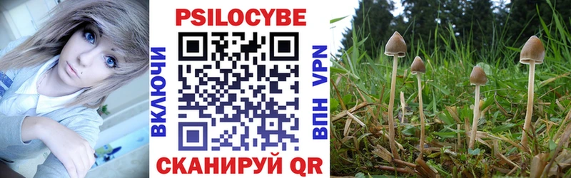 Купить закладки  Старица  Галлюциногенные грибы прущие грибы 